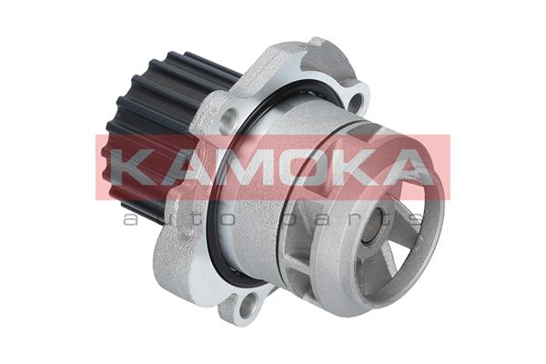 Pompa de apa KAMOKA T0251
