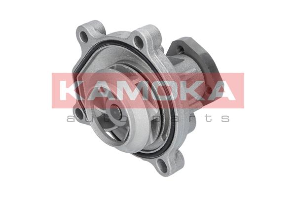 Pompa de apa KAMOKA T0252