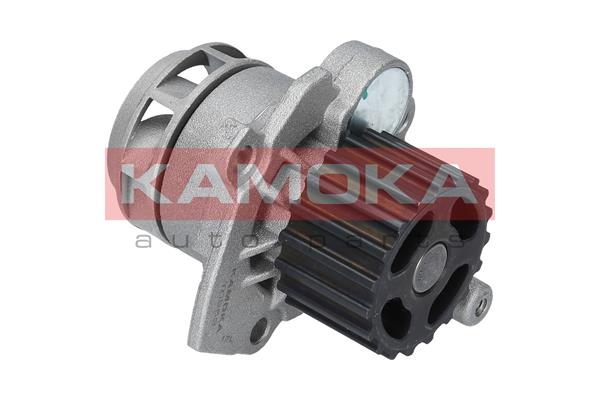 Pompa de apa KAMOKA T0253