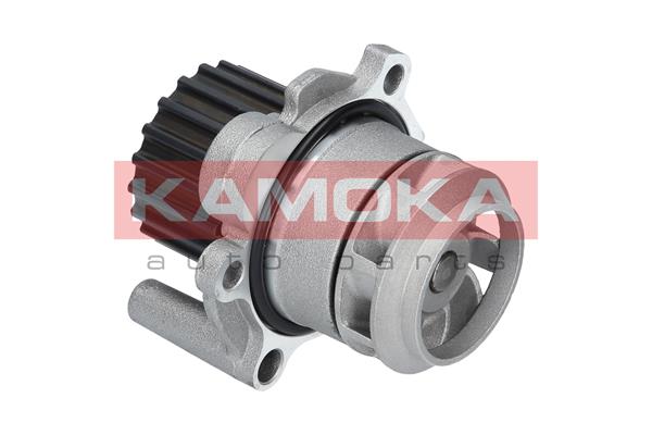 Pompa de apa KAMOKA T0253