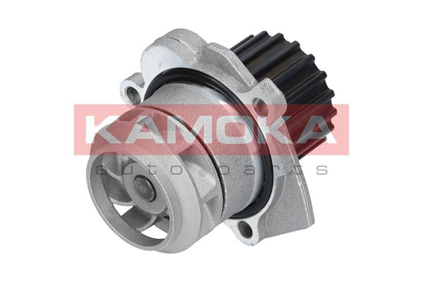 Pompa de apa KAMOKA T0253