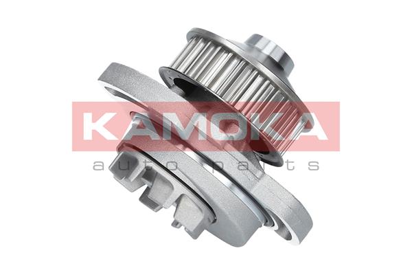 Pompa de apa KAMOKA T0254
