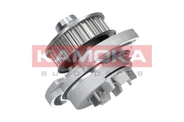 Pompa de apa KAMOKA T0254
