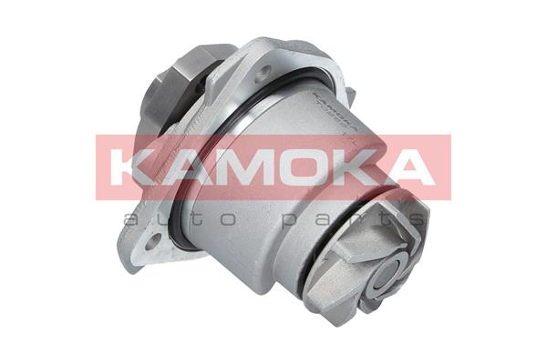 Pompa de apa KAMOKA T0256