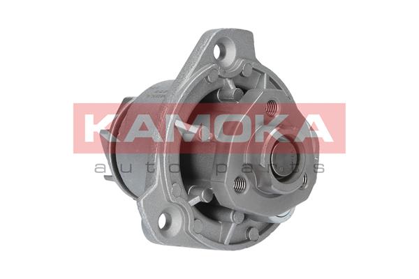 Pompa de apa KAMOKA T0256