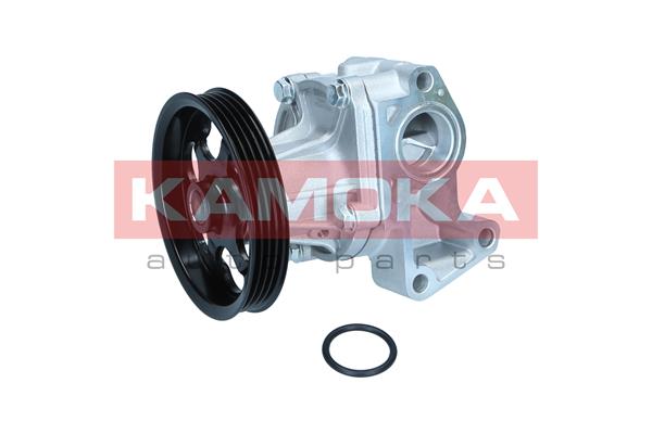 Pompa de apa KAMOKA T0266