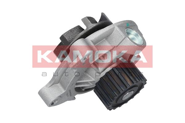 Pompa de apa KAMOKA T0271