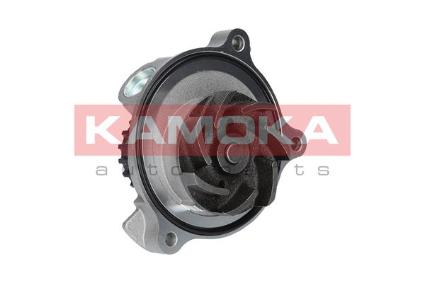Pompa de apa KAMOKA T0271