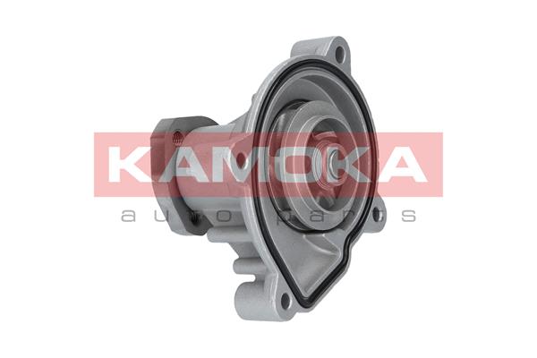 Pompa de apa KAMOKA T0272