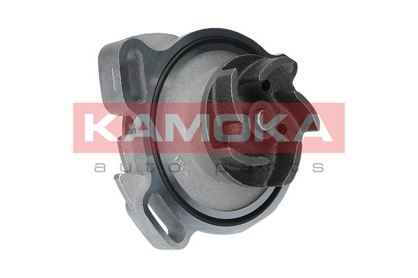 Pompa de apa KAMOKA T0275