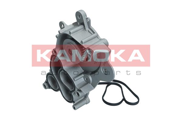 Pompa de apa KAMOKA T0286