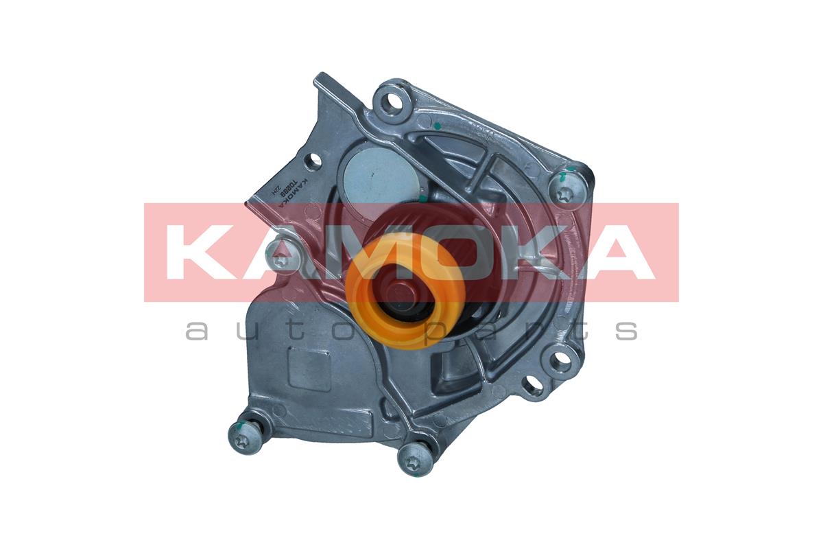 Pompa de apa KAMOKA T0289