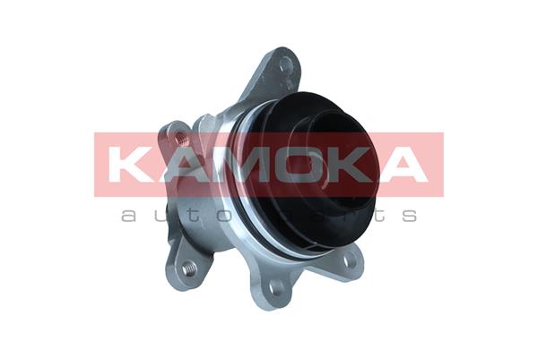 Pompa de apa KAMOKA T0297