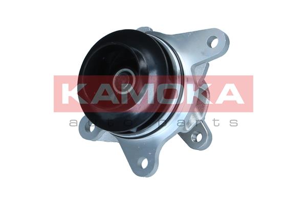 Pompa de apa KAMOKA T0297