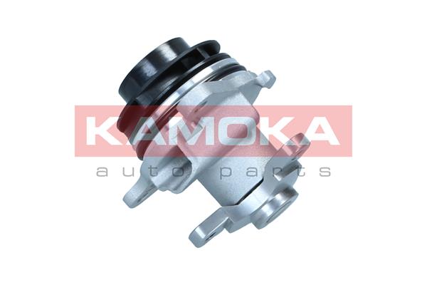 Pompa de apa KAMOKA T0297