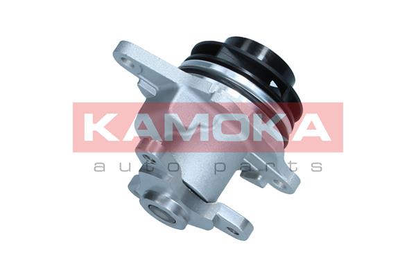 Pompa de apa KAMOKA T0297