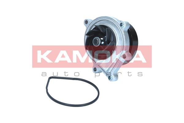 Pompa de apa KAMOKA T0299