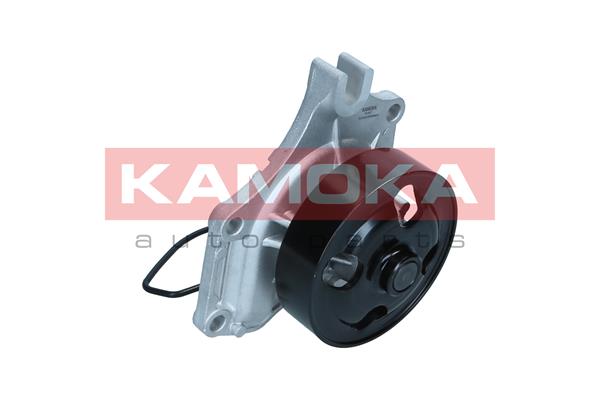 Pompa de apa KAMOKA T0307