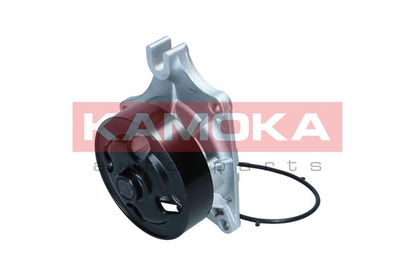 Pompa de apa KAMOKA T0307
