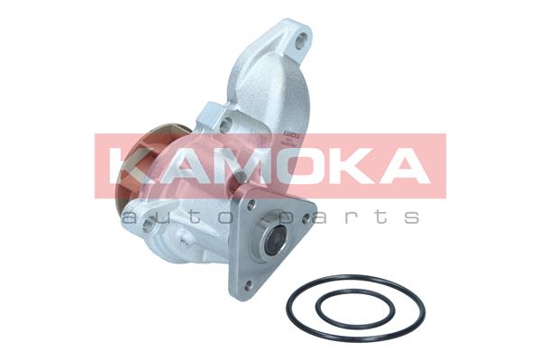 Pompa de apa KAMOKA T0315