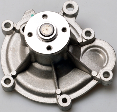 Pompa de apa DENCKERMANN A310851P