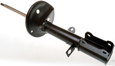 Amortizor DENCKERMANN DSB020G