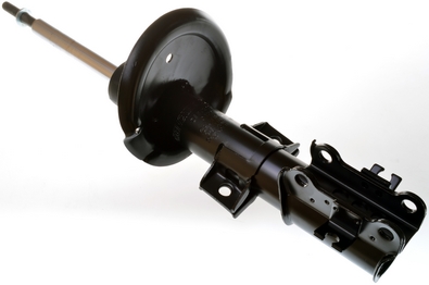 Amortizor DENCKERMANN DSB031G