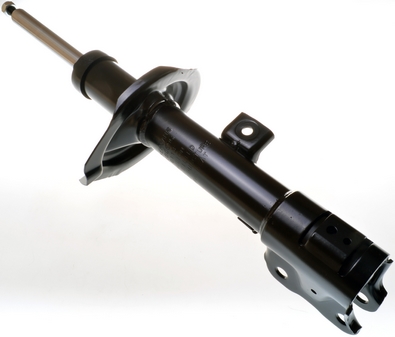 Amortizor DENCKERMANN DSB069G