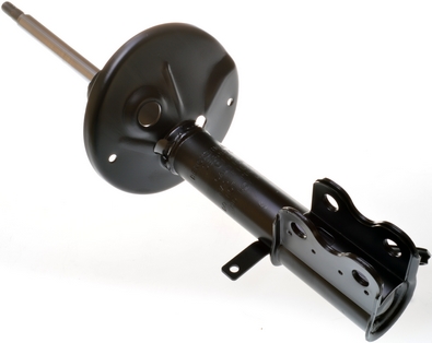 Amortizor DENCKERMANN DSB087G