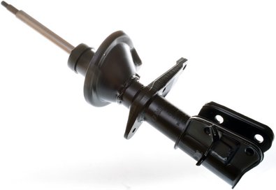 Amortizor DENCKERMANN DSB173G