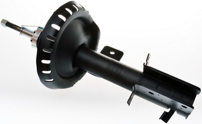 Amortizor DENCKERMANN DSB186G