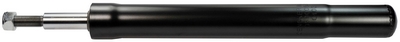 Amortizor DENCKERMANN DSD006O