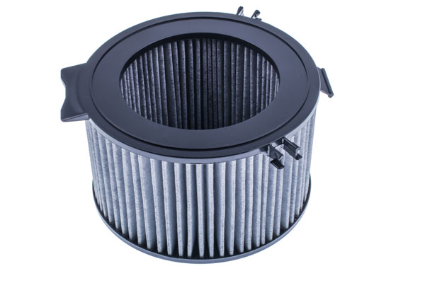 Filtru polen DENCKERMANN M110501K