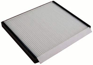 Filtru polen DENCKERMANN M110538