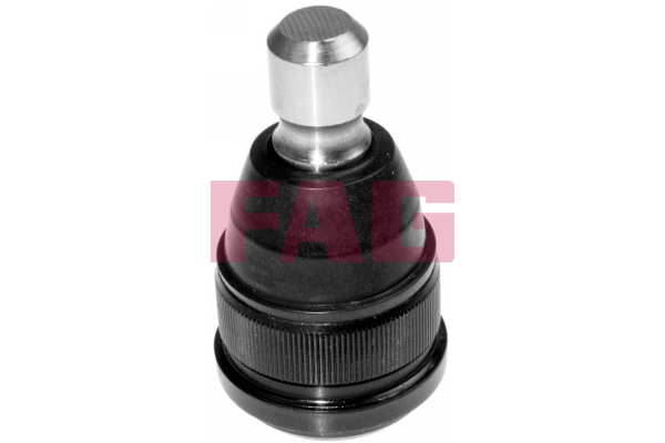 Pivot FAG 825 0024 10