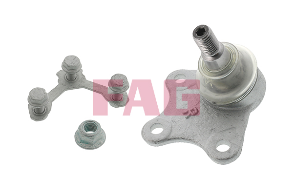 Pivot FAG 825 0055 10