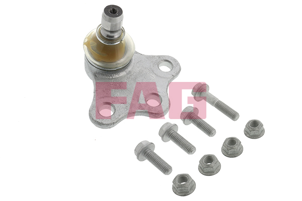 Pivot FAG 825 0129 10