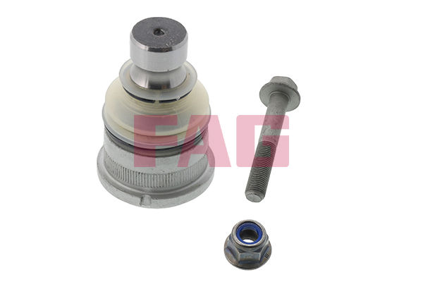 Pivot FAG 825 0166 10