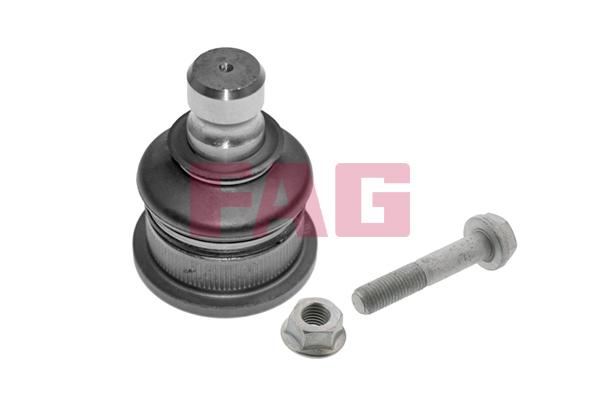 Pivot FAG 825 0168 10