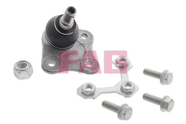 Pivot FAG 825 0172 10
