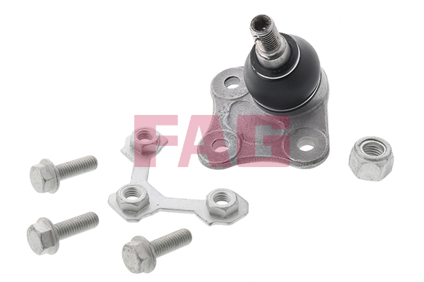 Pivot FAG 825 0173 10