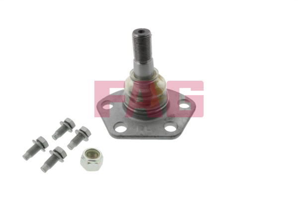 Pivot FAG 825 0191 10