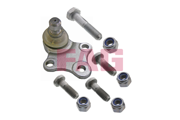 Pivot FAG 825 0222 10