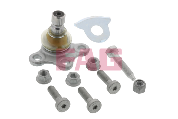 Pivot FAG 825 0224 10