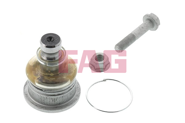 Pivot FAG 825 0245 10