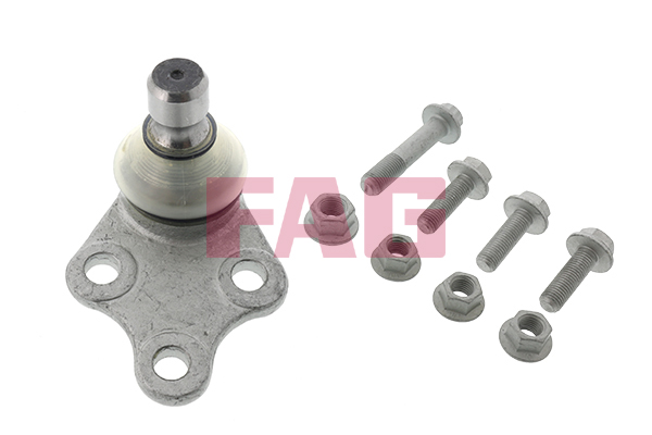 Pivot FAG 825 0250 10
