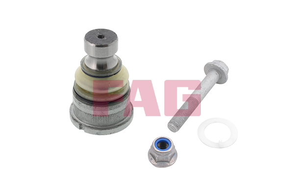 Pivot FAG 825 0300 10