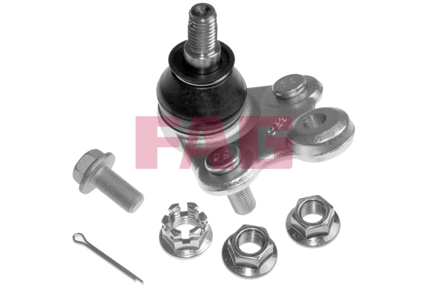 Pivot FAG 825 0316 10