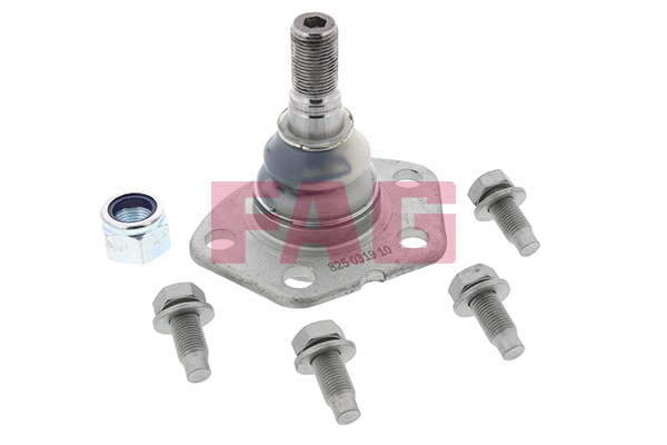 Pivot FAG 825 0319 10