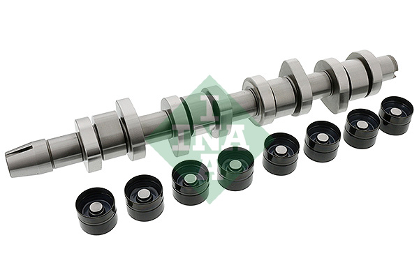 Set ax cu came VW PASSAT B5.5 (3B3) 1.9 TDI  diesel 130 cai INA 428004230